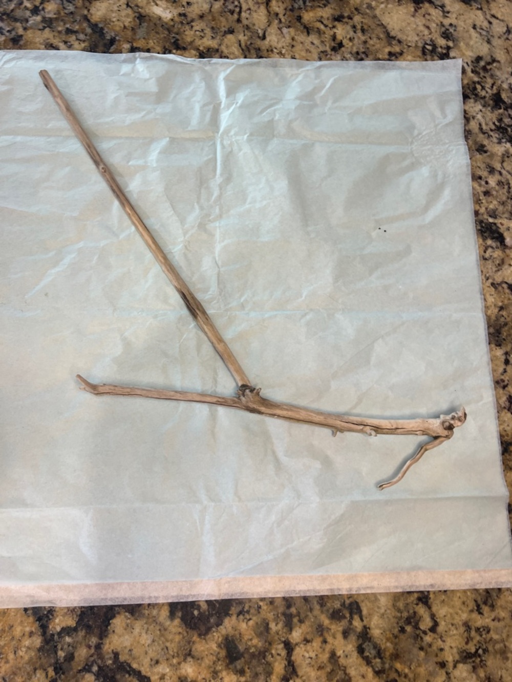Decorative Natural Driftwood Branch - Light Brown
